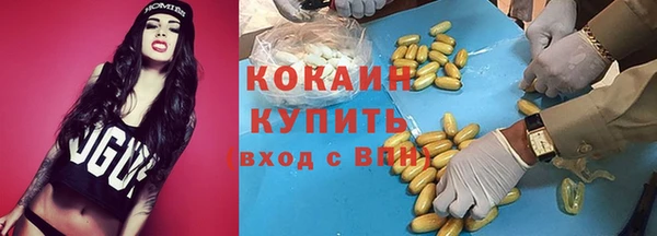 винт Лиски