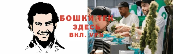 гашик Майский