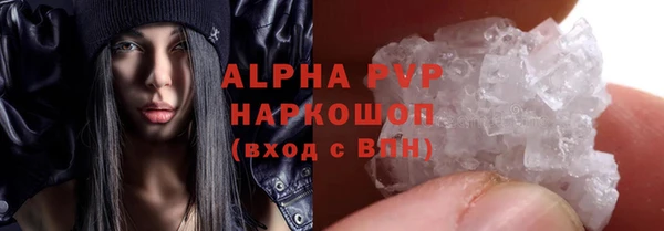 гашик Майский