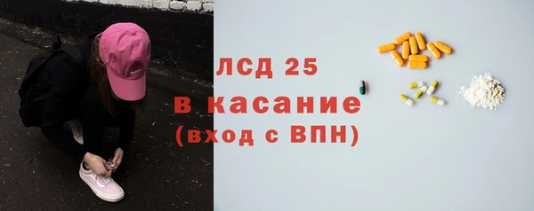 гашик Майский