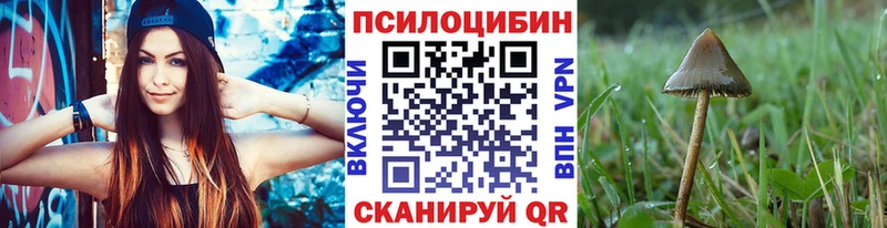 что такое Куса Галлюциногенные грибы Magic Shrooms