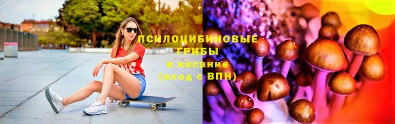 Псилоцибиновые грибы Magic Shrooms  Куса 