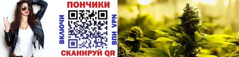 Бошки марихуана индика  где купить наркотик  Куса 